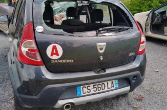 Eclairage de plafonnier DACIA SANDERO 1