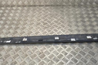 Baguette de porte avant gauche RENAULT SCENIC 1