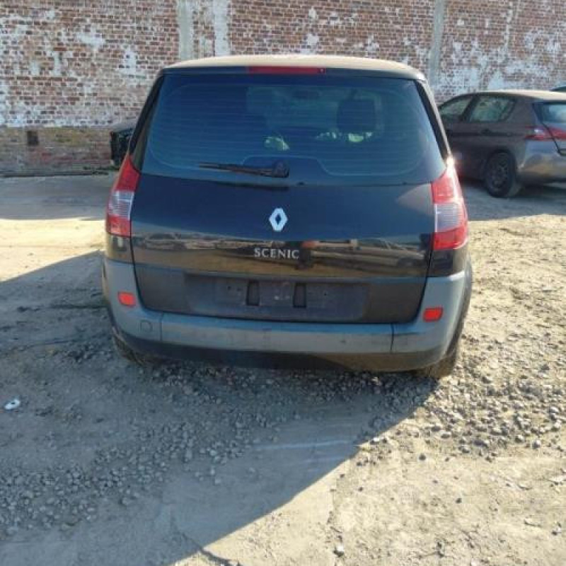 Porte arriere droit RENAULT SCENIC 2 Photo n°11