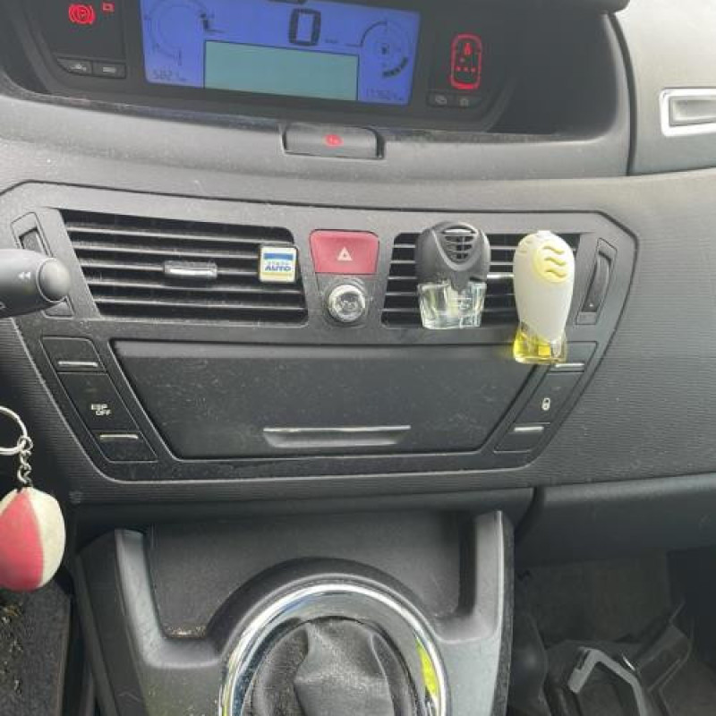 Porte arriere droit CITROEN C4 PICASSO 1 Photo n°14