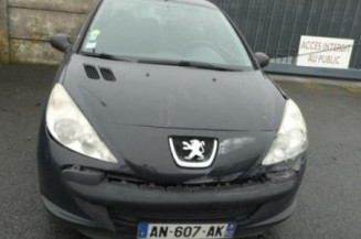 Custode arriere droit PEUGEOT 206+