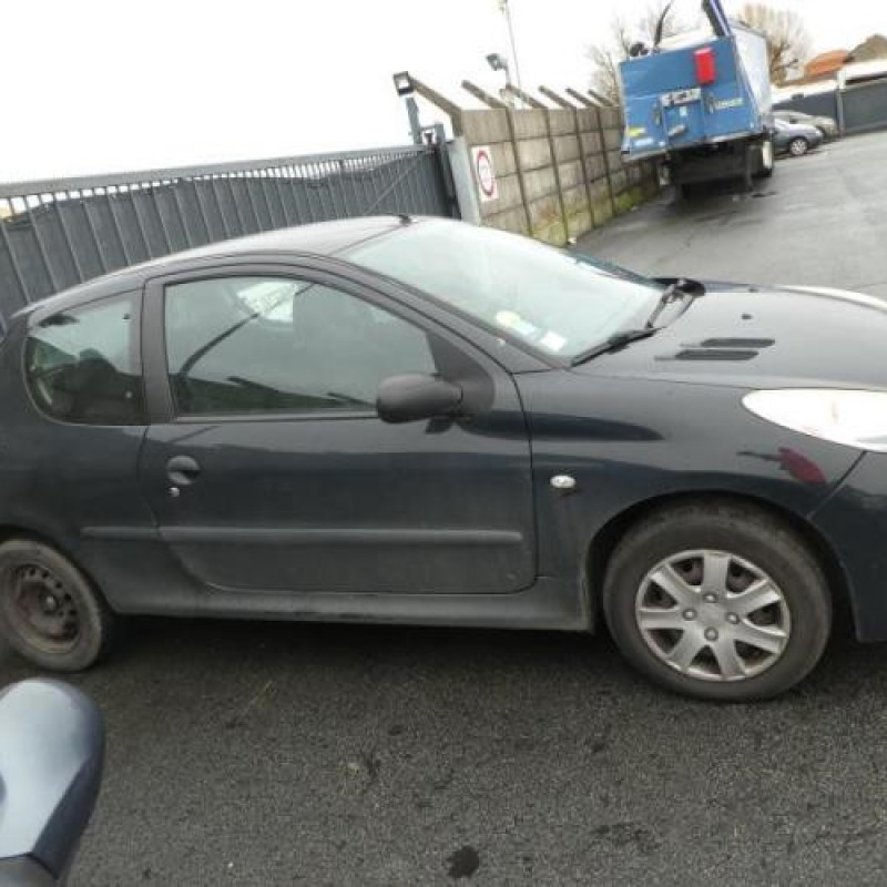 Custode arriere droit PEUGEOT 206+ Photo n°3