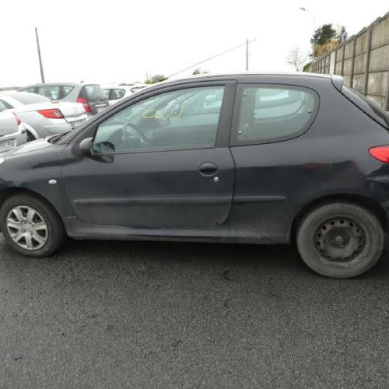 Custode arriere droit PEUGEOT 206+ Photo n°5