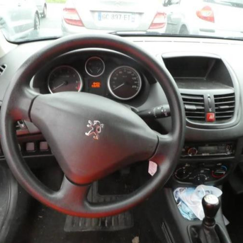 Custode arriere droit PEUGEOT 206+ Photo n°8