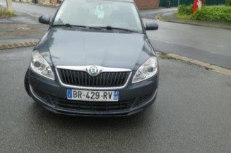 Porte arriere droit SKODA FABIA 2