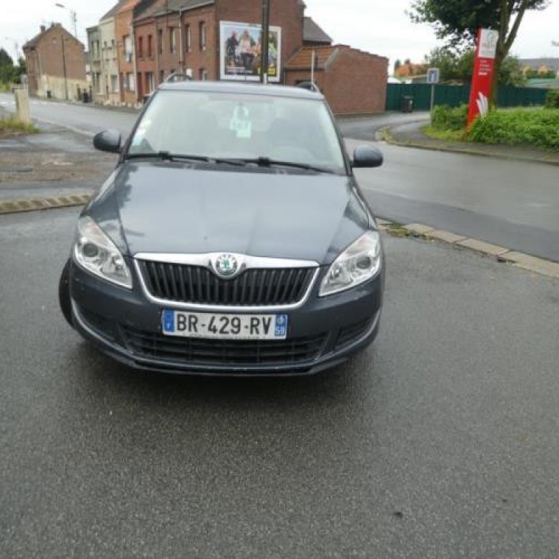 Porte arriere droit SKODA FABIA 2 Photo n°6