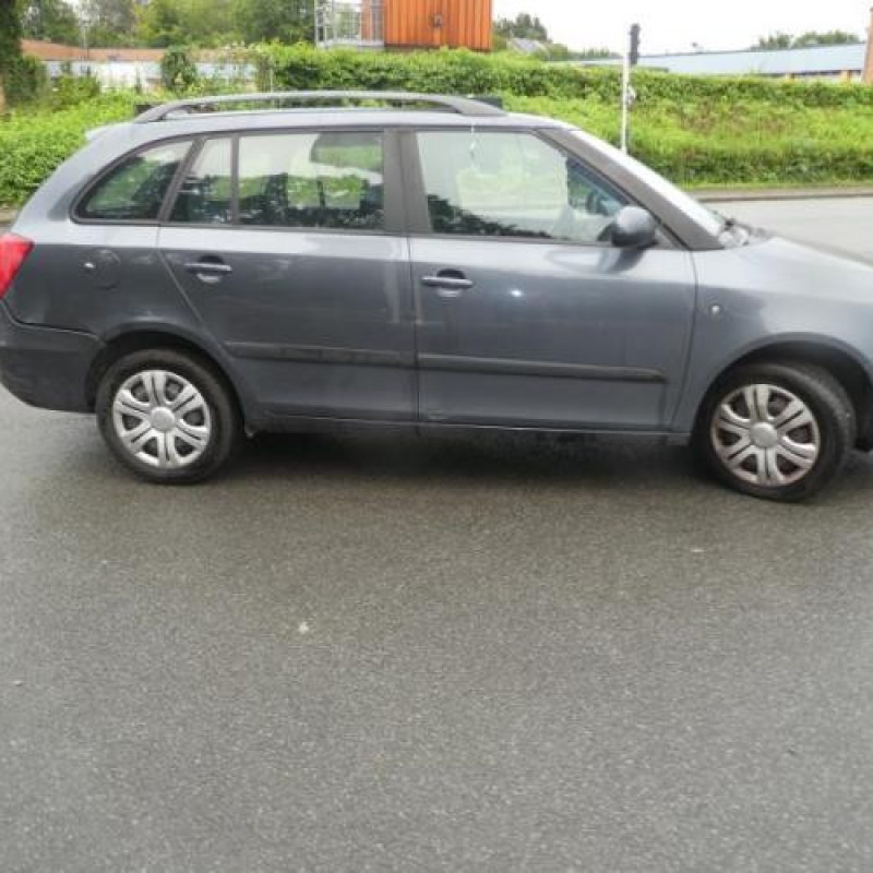 Porte arriere droit SKODA FABIA 2 Photo n°7