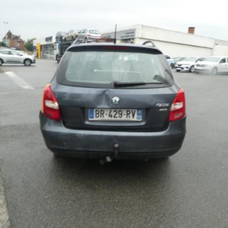 Porte arriere droit SKODA FABIA 2 Photo n°8