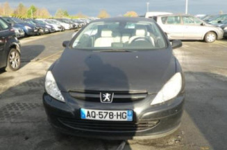 Vitre arriere droit PEUGEOT 307