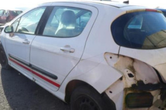 Arret de porte avant gauche PEUGEOT 308 1