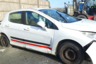 Arret de porte avant gauche PEUGEOT 308 1