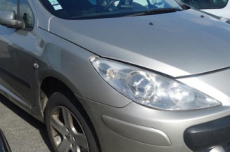 Poignee interieur arriere gauche PEUGEOT 307