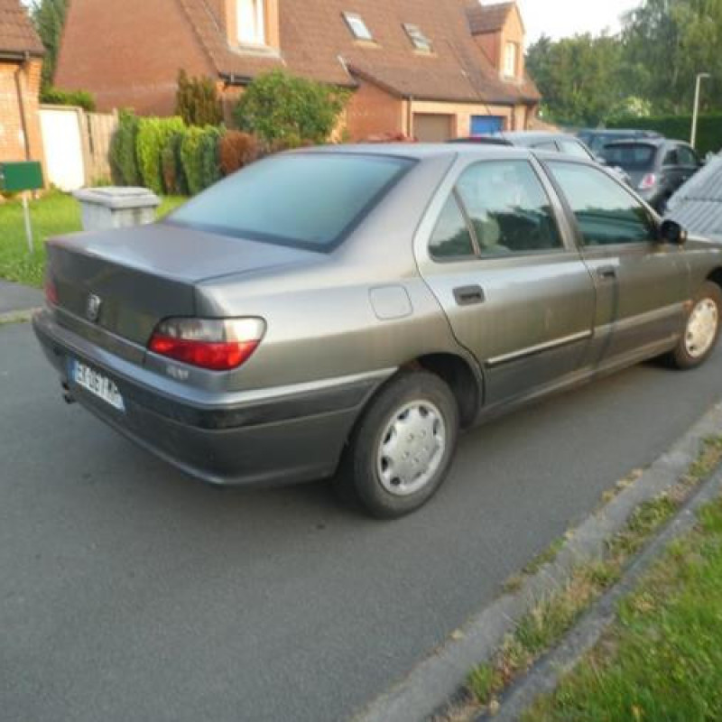 Calandre PEUGEOT 406 Photo n°4