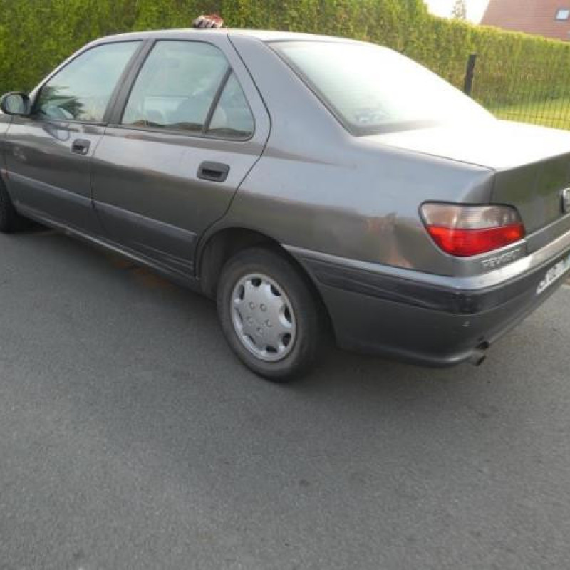 Calandre PEUGEOT 406 Photo n°5