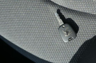 Poignee porte arriere droit PEUGEOT 206+