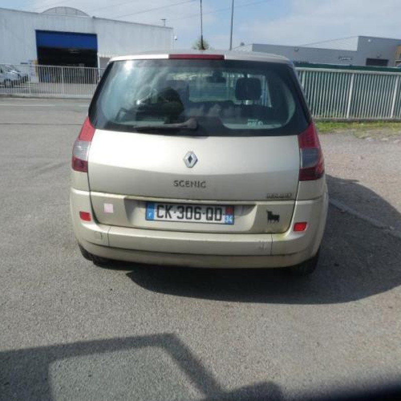 Plage arriere RENAULT SCENIC 2 Photo n°4