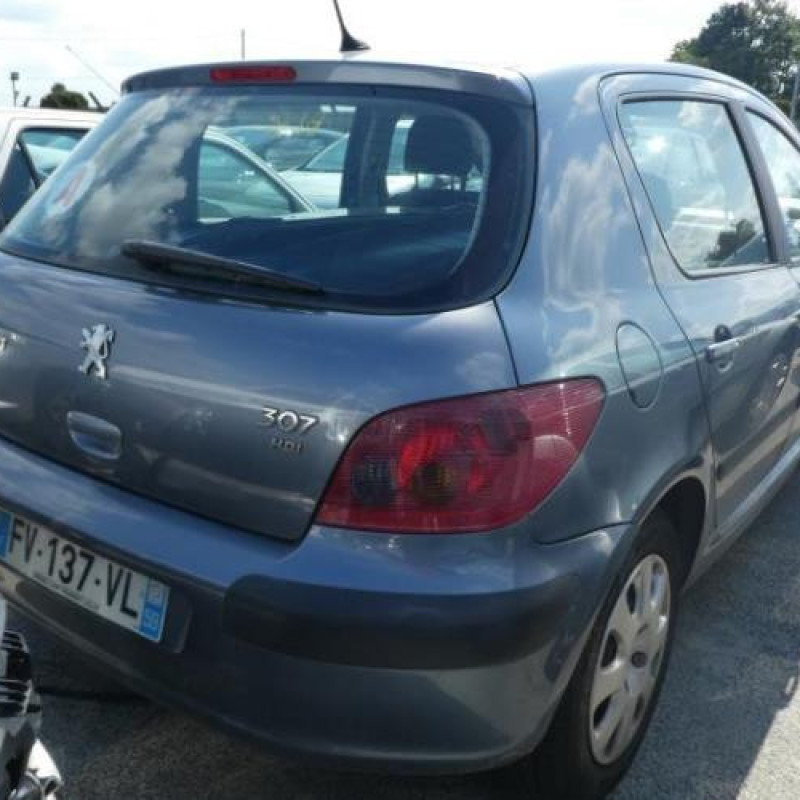 Serrure arriere gauche PEUGEOT 307 Photo n°6