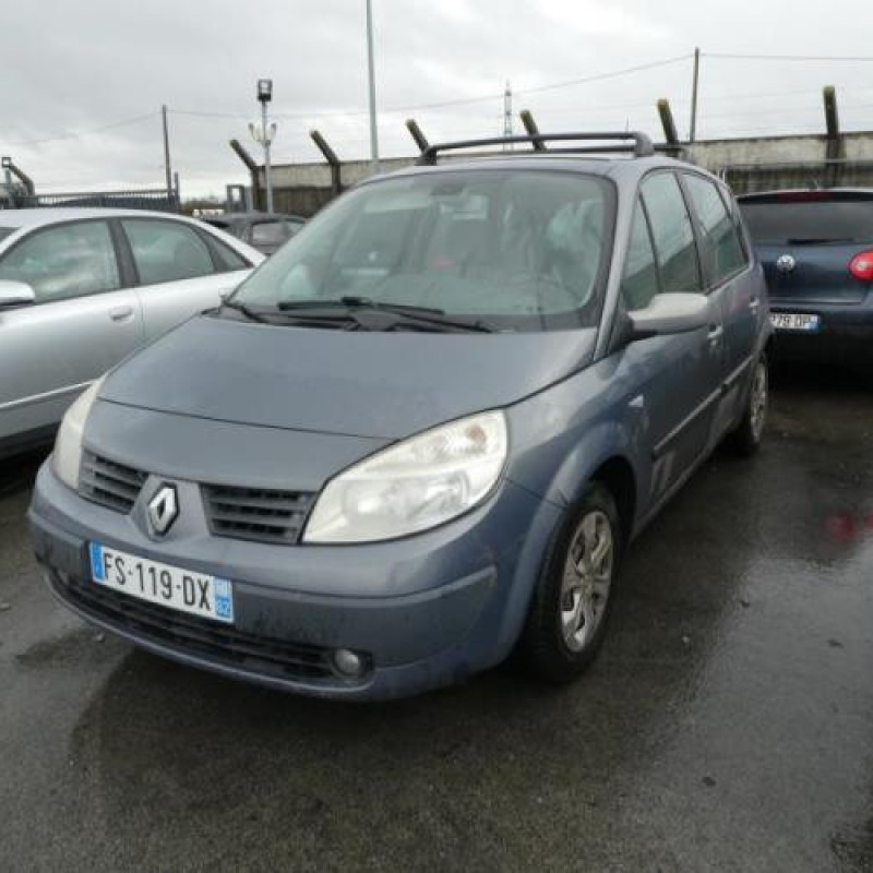 Plage arriere RENAULT SCENIC 2 Photo n°2