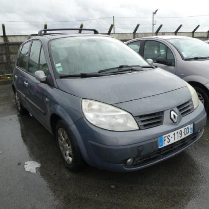 Plage arriere RENAULT SCENIC 2 Photo n°3