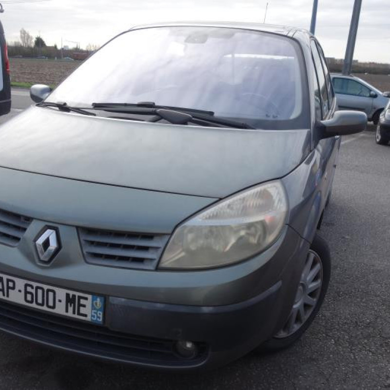 Plage arriere RENAULT SCENIC 2 Photo n°2