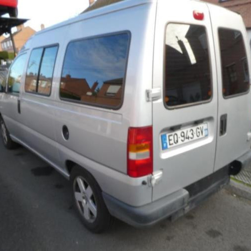 Porte de coffre gauche FIAT SCUDO 1 Photo n°7