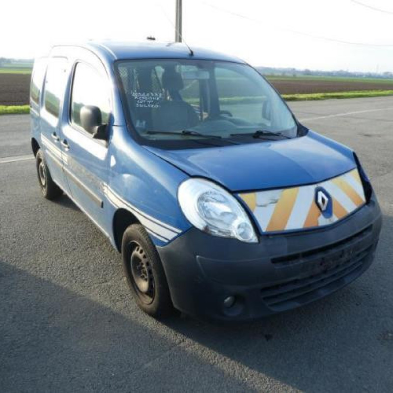 Porte laterale gauche RENAULT KANGOO 2 Photo n°4