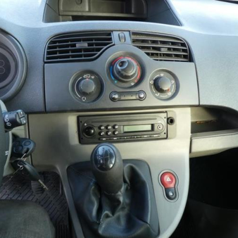 Porte laterale gauche RENAULT KANGOO 2 Photo n°9