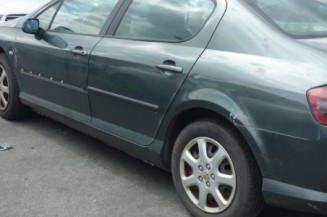 Custode avant droit (porte) PEUGEOT 407