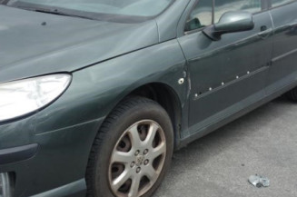 Custode avant droit (porte) PEUGEOT 407