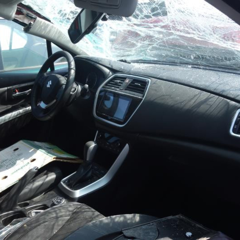 Custode arriere gauche (porte) SUZUKI SX4 S-CROSS Photo n°6