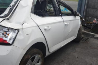 Poignee porte avant gauche SKODA FABIA 3