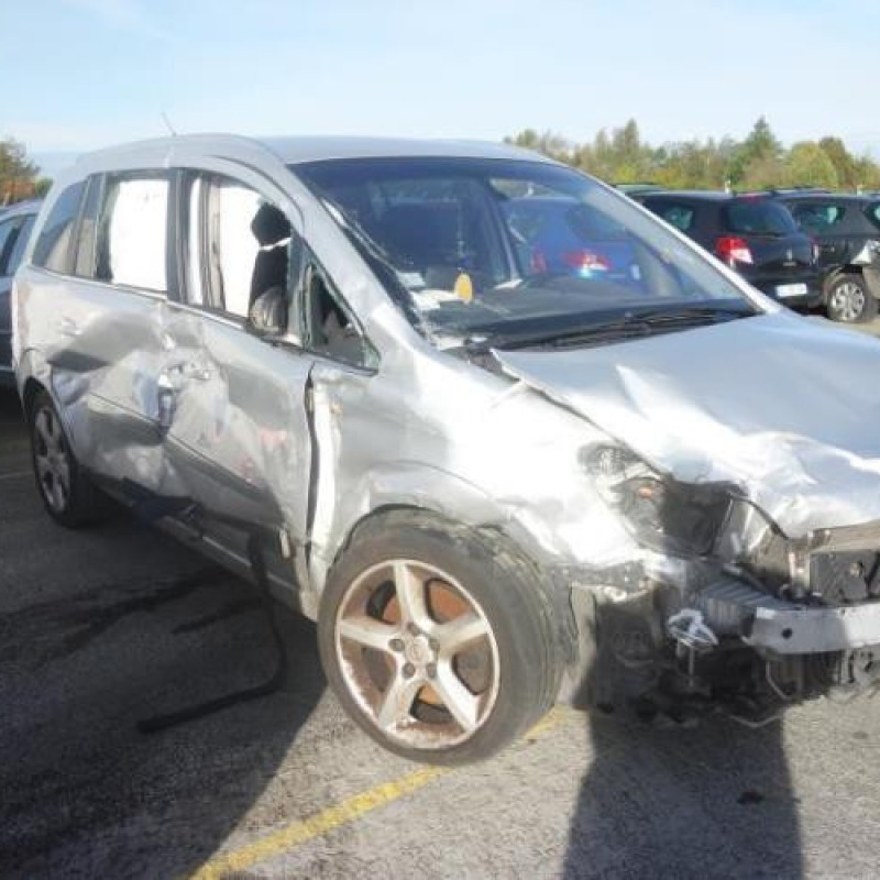 Custode arriere droit OPEL ZAFIRA B Photo n°2