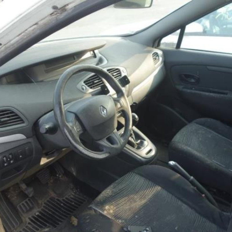 Custode avant gauche (porte) RENAULT SCENIC 3 Photo n°5