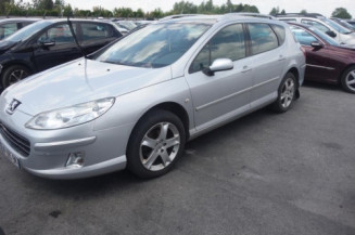 Mastervac PEUGEOT 407