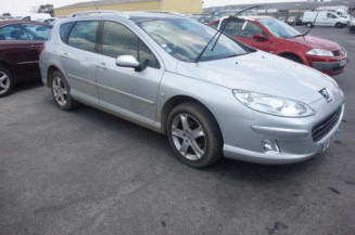 Mastervac PEUGEOT 407