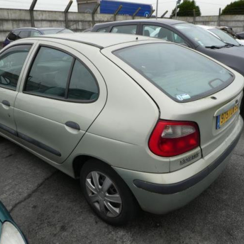 Feu arriere principal gauche (feux) RENAULT MEGANE 1 Photo n°6