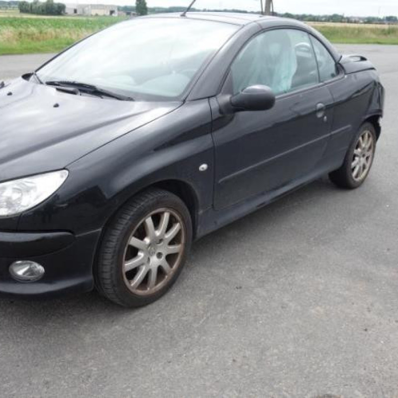 Custode arriere droit PEUGEOT 206 Photo n°1