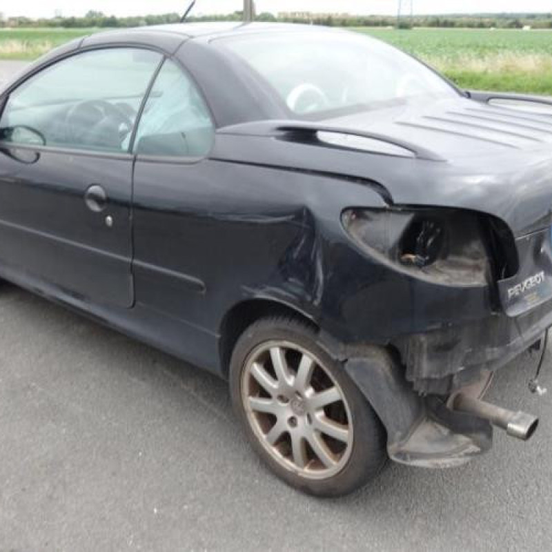 Custode arriere droit PEUGEOT 206 Photo n°4