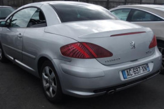 Custode arriere droit PEUGEOT 307