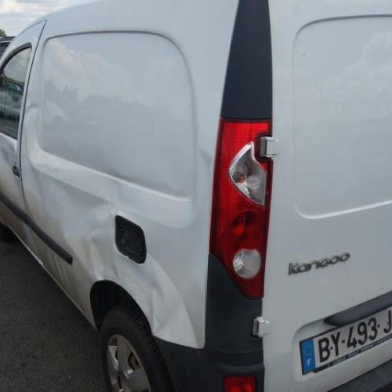 Etrier arriere gauche (freinage) RENAULT KANGOO 2 Photo n°4