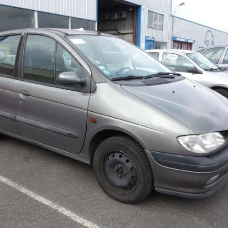 Calandre RENAULT SCENIC 1 Photo n°3