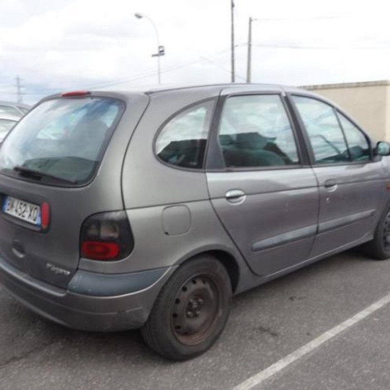 Calandre RENAULT SCENIC 1 Photo n°4