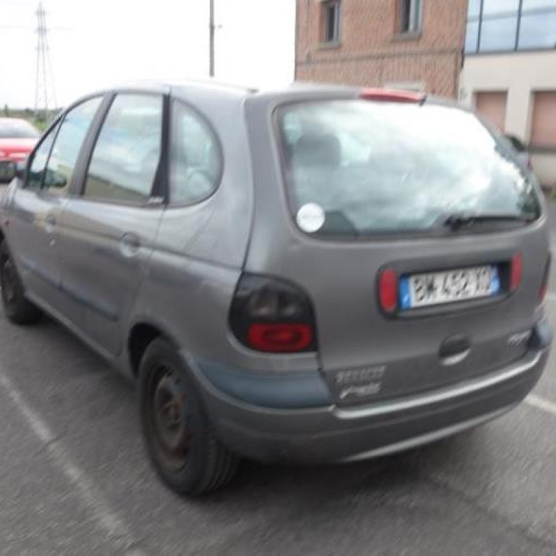 Calandre RENAULT SCENIC 1 Photo n°5