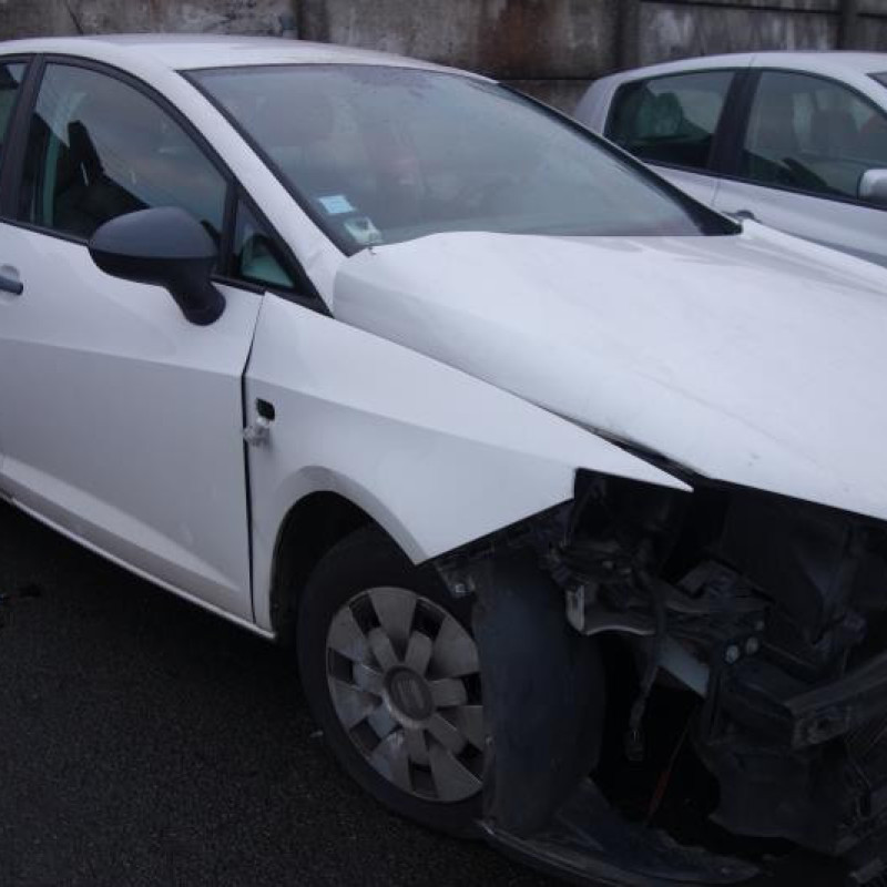 Custode avant gauche SEAT IBIZA 4 Photo n°2