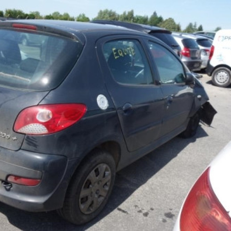 Sigle de calandre PEUGEOT 206+ Photo n°3