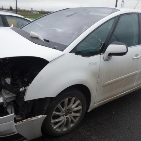 Custode arriere gauche CITROEN C4 PICASSO 1 Photo n°1