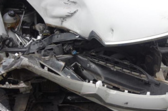 Custode arriere gauche CITROEN C4 PICASSO 1