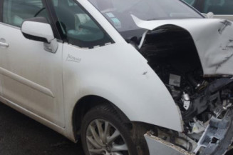 Custode arriere gauche CITROEN C4 PICASSO 1