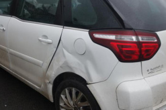 Custode arriere gauche CITROEN C4 PICASSO 1