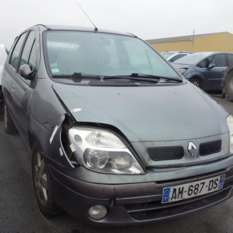 Plage arriere RENAULT SCENIC 1 Photo n°2